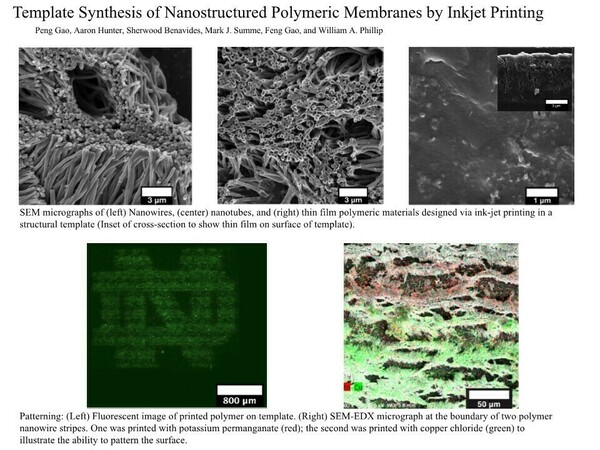 Polymeric Nanomaterials