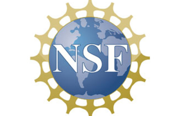 Nsf Logo F 4068c845 8a66 4bfa Ab23 F052e70f5f0c